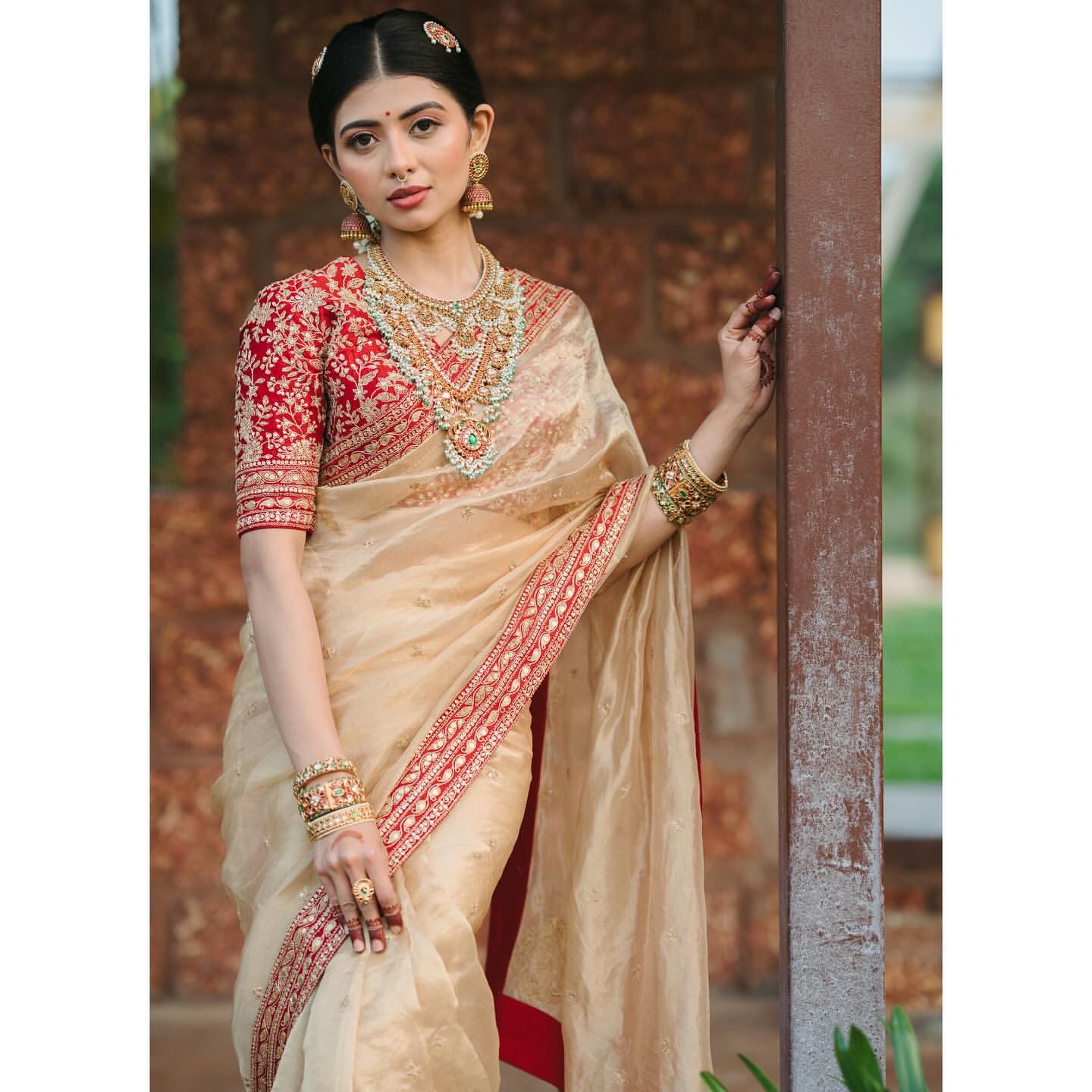 Heavy Soft Organza Dori Embroidery Work Saree
