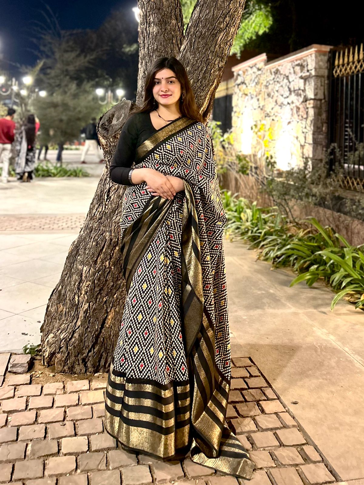 BLACK COLOR MULTIPLE JACQUARD WEAVING BORDER  SOFT DOLA SILK  SAREES