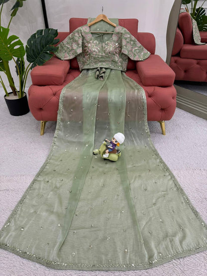 Pista Jimmy Chu Sequnce Work Saree
