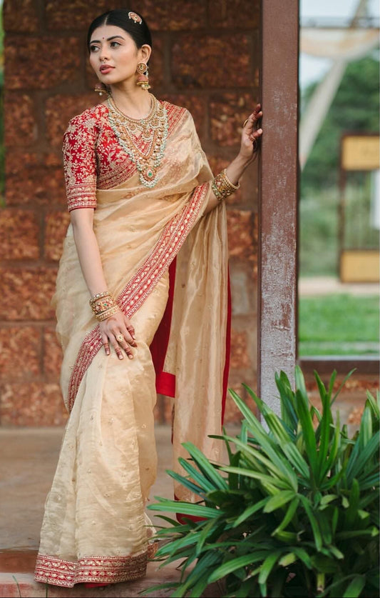 Heavy Soft Organza Dori Embroidery Work Saree