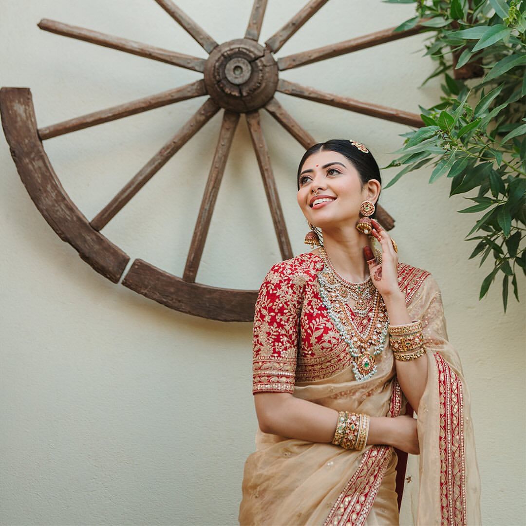 Heavy Soft Organza Dori Embroidery Work Saree