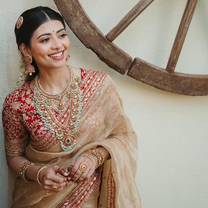 Heavy Soft Organza Dori Embroidery Work Saree