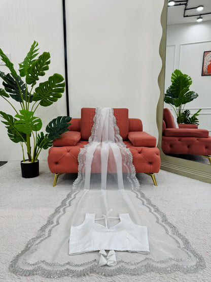 White Heavy Organza Silk With Sequins Work Saree