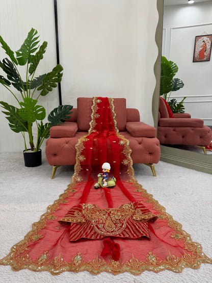 Gorgeous Red Heavy Organza Silk Saree
