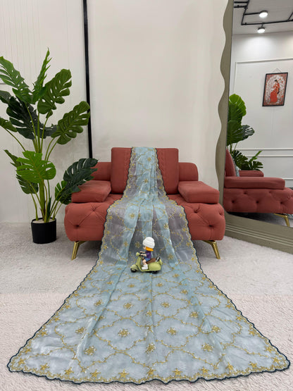 Sky Heavy Zimmy Chu Saree