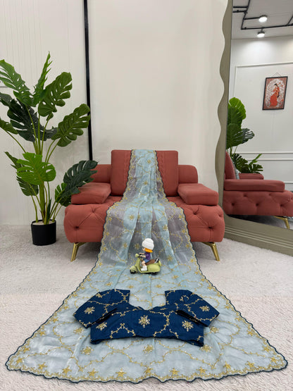 Sky Heavy Zimmy Chu Saree