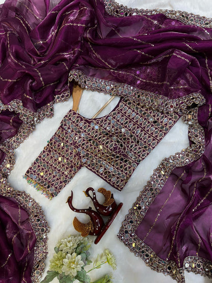 Heavy Jimmi Chu With Original Hand Mirror Work Saree