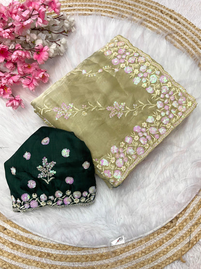 Zimmy Choo Satin With Aarco Border Saree