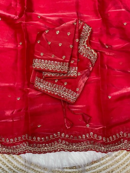 Zimmy Choo Sequence Zari Aarco Border Satin Saree