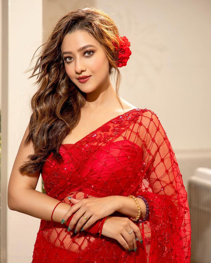 Soft Net With Sequins Embroidery Work Saree