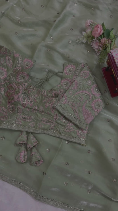 Pista Jimmy Chu Sequnce Work Saree
