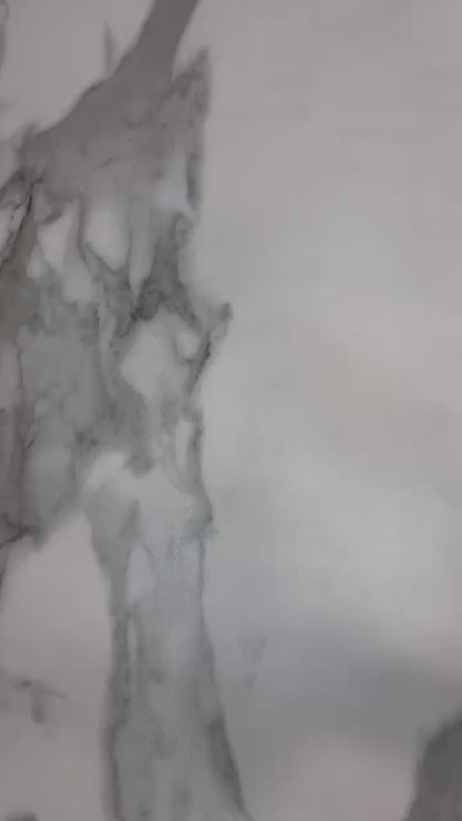 White Heavy Pure Soft Organza Silk With Print 3pc Kurta Set